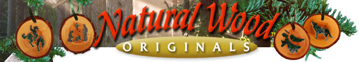 NWO_Banner_top
