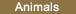 Animals_button