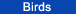 Bird_button