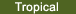 tropical_button